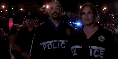 Olivia Benson Police GIF by Wolf Entertainment