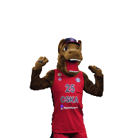 Sport Basketball Sticker by CSKA Moscow