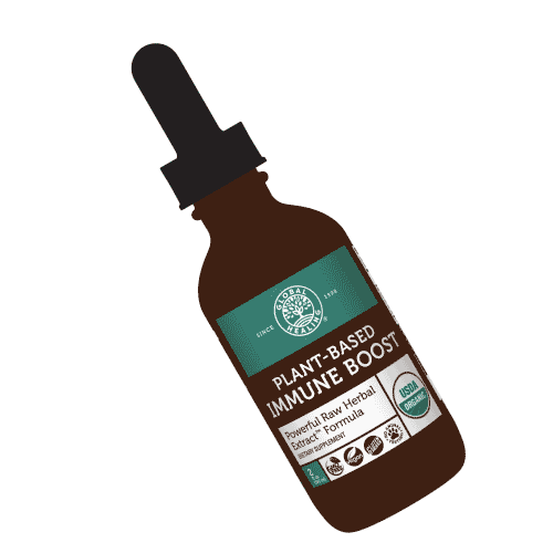 globalhealing giphyupload vegan nutrition supplements Sticker