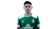 Football Wow Sticker by SV Werder Bremen