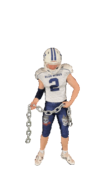 Football Flex Sticker by Wolfsburg Blue Wings