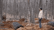 Landscaping Dirt Work GIF by JC Property Professionals