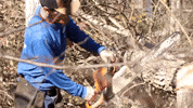 Power Tools Chainsaw GIF by JC Property Professionals