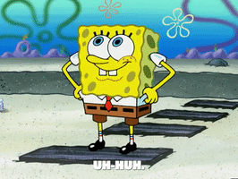 season 4 GIF by SpongeBob SquarePants