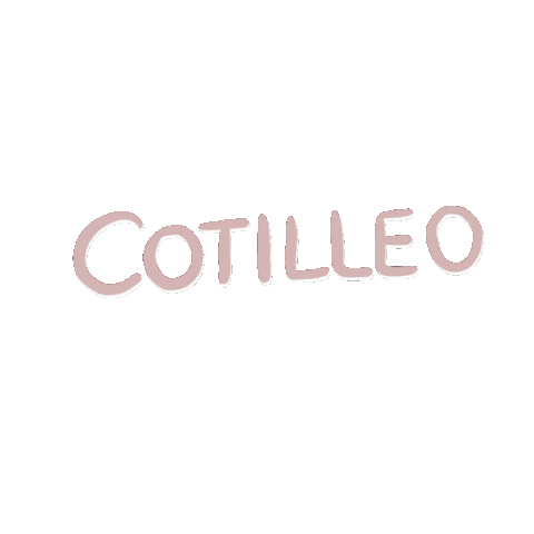 Rosa Noticia Sticker