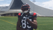 Montreal Alouettes Football GIF by Alouettes de Montréal