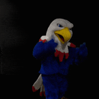 SAmericanSchool singapore sas eddie the eagle sasedu GIF