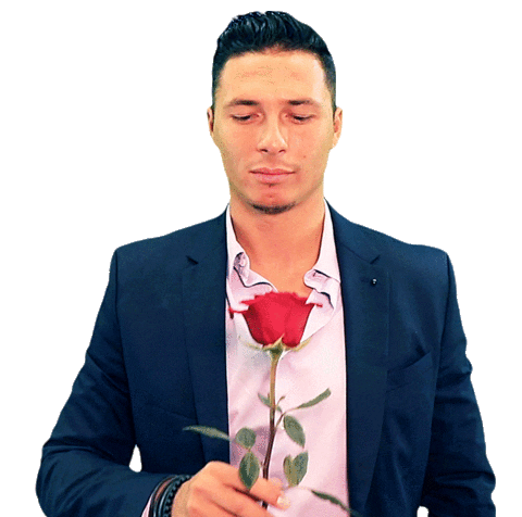 Rose Alan Sticker by Der Bachelor (Schweiz)