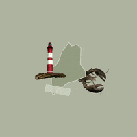 United States America GIF by Crooked Media