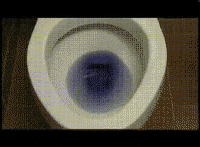 black and white toilet GIF