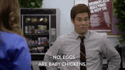 comedy central no GIF by Workaholics