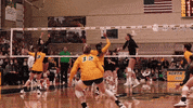 Ndsu Volleyball GIF by NDSU Athletics