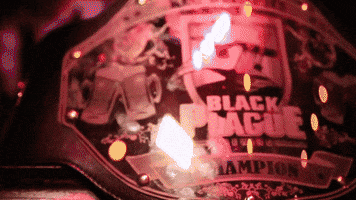 blackplaguebrewing craft beer brewery craft brewery beer cans GIF