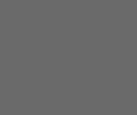 StewardsOfBeer giphyupload GIF