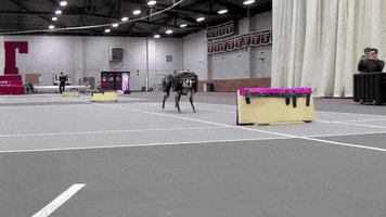 robotics cheetah GIF by MIT 