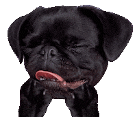 Happy Big Dog Sticker by Big Dog Pet Foods