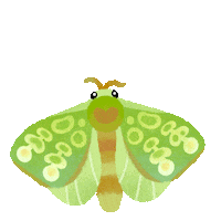 Knife No Sticker by pikaole