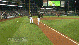Pittsburgh Pirates Baseball GIF by MLB