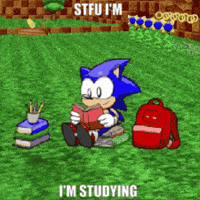 Studying Sonic The Hedgehog GIF