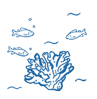 Nachhaltig Riff Sticker by Marine Stewardship Council (MSC)