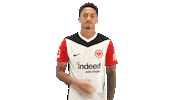 Well Done Frankfurt Sticker by Bundesliga