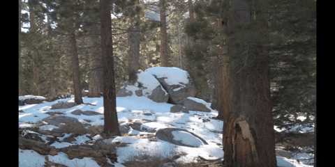 Education Biology GIF by DIIMSA Stock