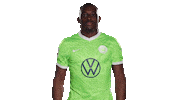Swipe Up Jerome Roussillon Sticker by VfL Wolfsburg