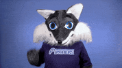 Celebration GIF by St. Louis Community College