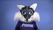 Celebration GIF by St. Louis Community College