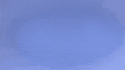 Look Looking GIF by St. Louis Community College