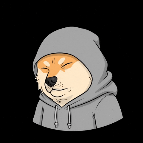 Shocked Shiba Inu GIF by Doge Pound