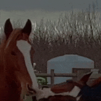 dezmineann kiss eat silly play GIF
