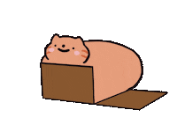 Cat Kitty Sticker