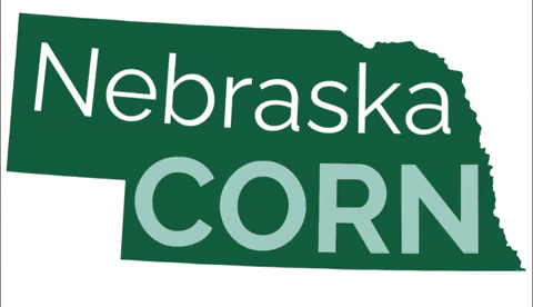 NebraskaCornBoard giphyupload agriculture corn farming GIF