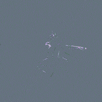 GIF by William Wolfgang Wunderbar