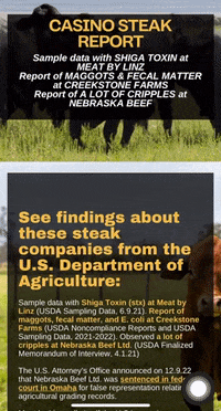 Cow Casino GIF by Culinary Union