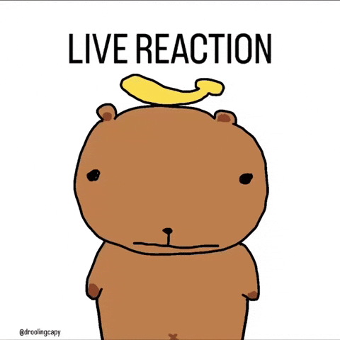 Capybara Wow GIF