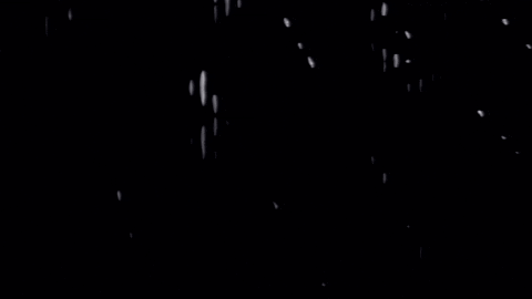 Video Art GIF by cskonopka