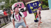GIF by Thrillist