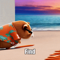 Wisdom Balance GIF by Guinea Gambino