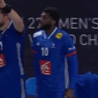 Ffhandball GIF by Fédération Française de Handball