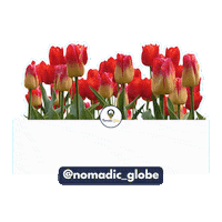 nomadicglobe globe kashmir nomadic nomadicglobe Sticker