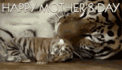 Mothers Day Moms GIF by reactionseditor