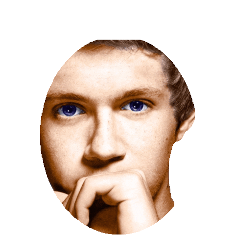 niall horan STICKER by imoji