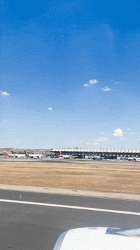 Travel Flying GIF