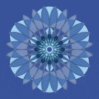 mandala art GIF by Moon Mandalas Mobile App