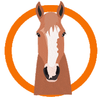 Horse Sticker by Ohlala sellerie