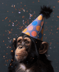 Happy Birthday Party GIF by Salih Kizilkaya