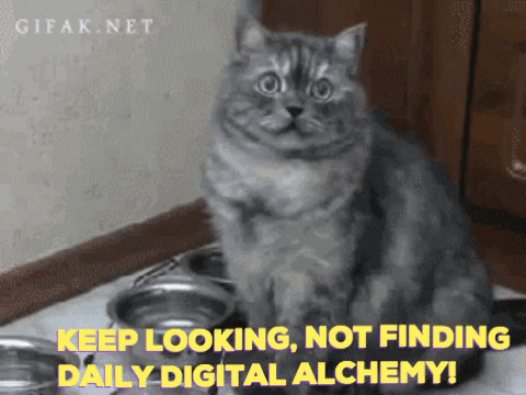 dda GIF