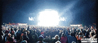 germany crowd GIF by Hurricane Festival